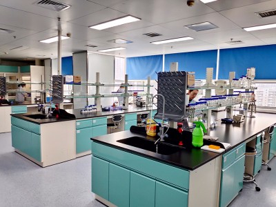 Πώς να αποφύγετε τη γαστρεντερική οίδημα της νόσου των χοίρων;